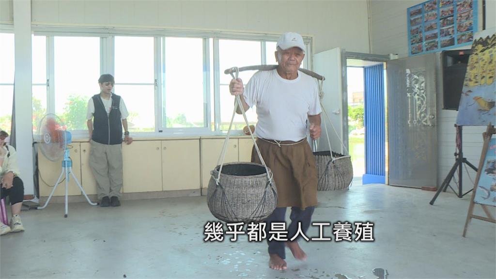 魚苗買賣全靠一張嘴 台南「點漁工」用老經驗訴說漁村記憶