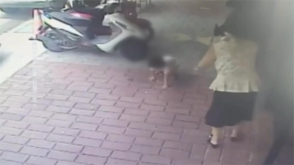 不受控！　母帶３女逛三義木雕街　店狗突竄出狂咬　２童全身傷送醫