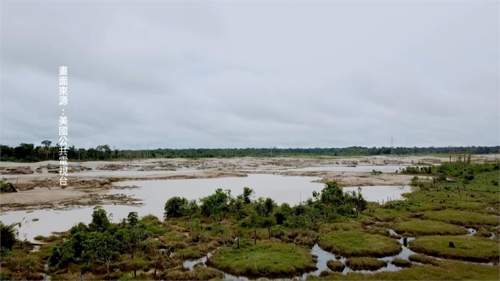 全球／非法淘金猖獗 「地球之肺」　亞馬遜雨林消失中