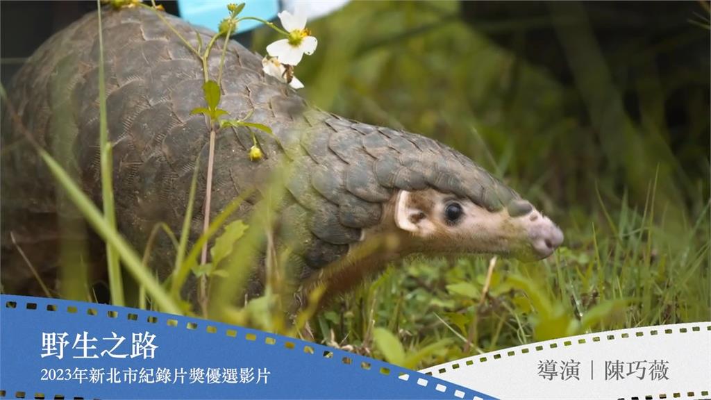 波士頓也能看到新北紀錄片　雙城攜手推廣台灣影片