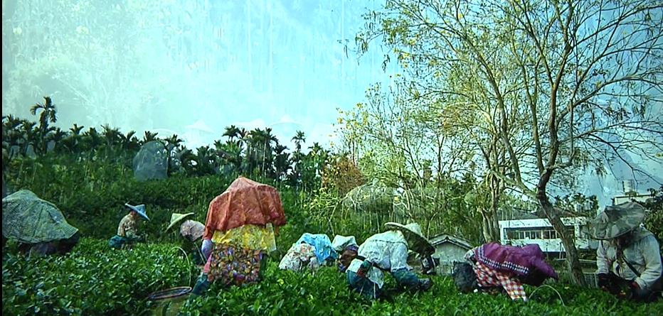 食品展邀南投組團「拓中市場」　許淑華「這理由」婉拒