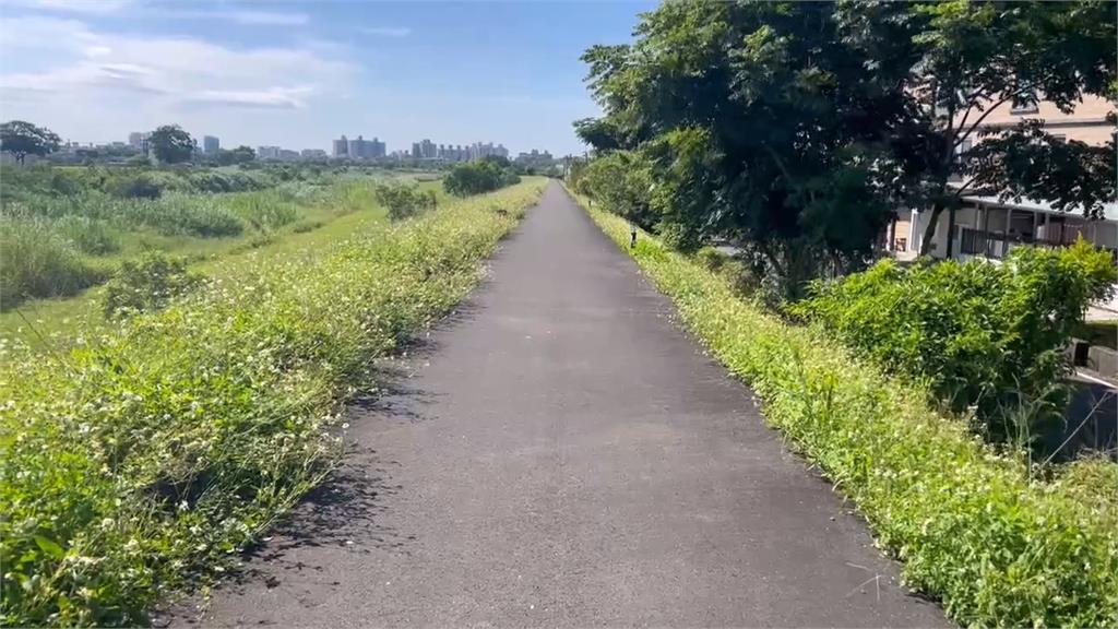 ＂綠鬣蜥＂入侵宜蘭現蹤橋下河堤　縣府：零星個案　將嚴密注意