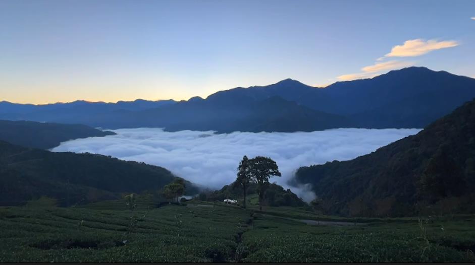 放鬆好去處！體驗"雲中打盹" 武界雲海如牛奶鍋