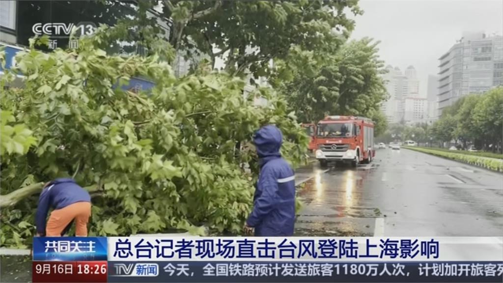 75年來登陸上海最強颱風　重創交通、逾萬樹木遭吹倒.