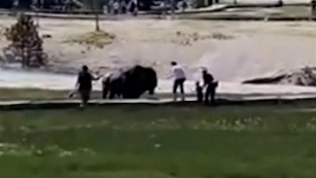 肉身擋牛畫面曝！男子見800公斤野牛衝向小孩　上前救童脫困超驚險