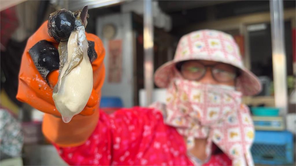 颱風接連來產量大減　嘉義牡蠣「變瘦」中秋節價格漲