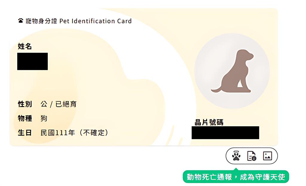 快新聞/毛孩爸媽注意!沒幫寵物「做這事」最高可罰1萬5 動保處證實了