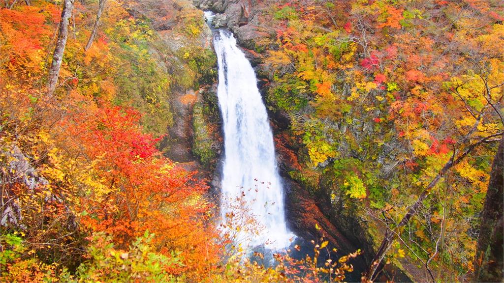 快新聞／看不到車尾燈！日官方統計「東北、函館」留宿外籍客數　台灣人狠甩各國