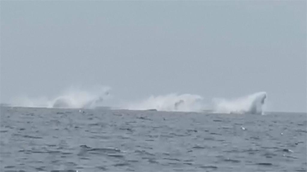 漁民出海慶生遇奇景！　3隻大翅鯨齊跳「水上芭蕾」好驚艷
