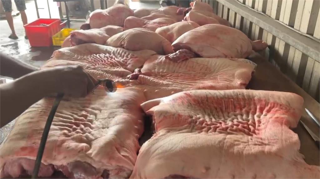 豬市重啟!豬「多養15天變更肥?」 肉販:不會 剛剛好