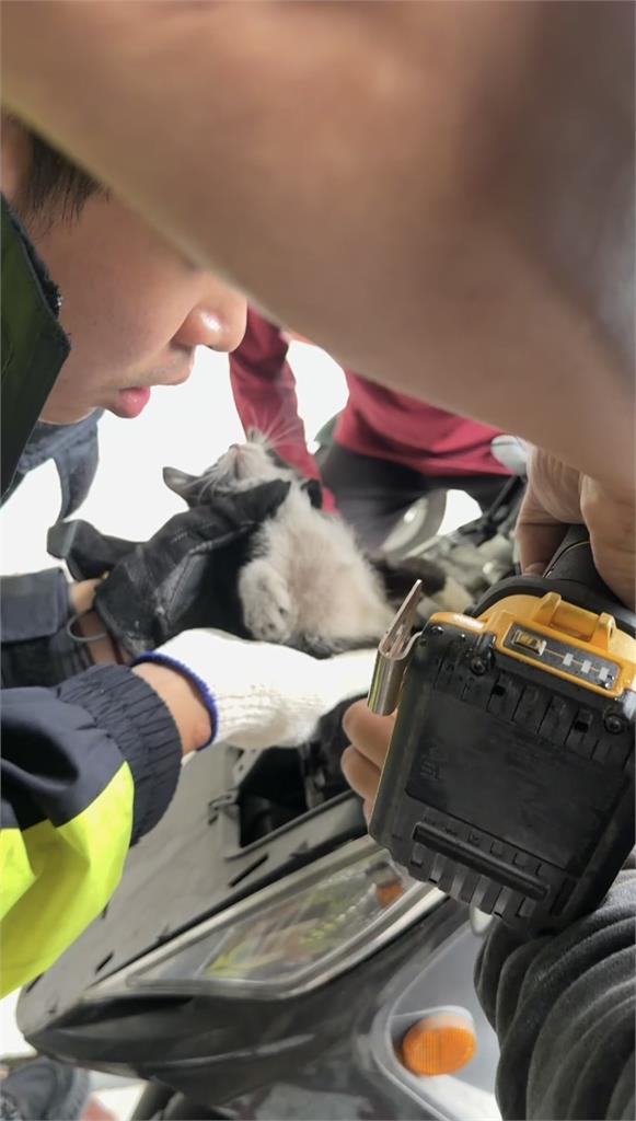 快新聞／颱風天化身喵星人救援隊　鶯歌暖警「機車頭燈」救出受困小貓