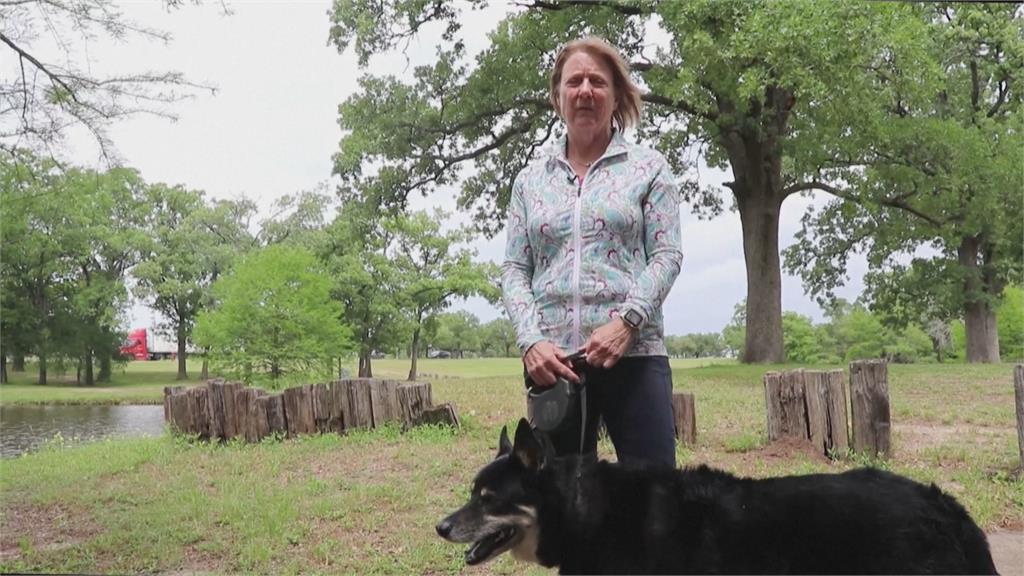 長生不老將成真? 美「犬隻老化研究」進行抗老化藥物實驗