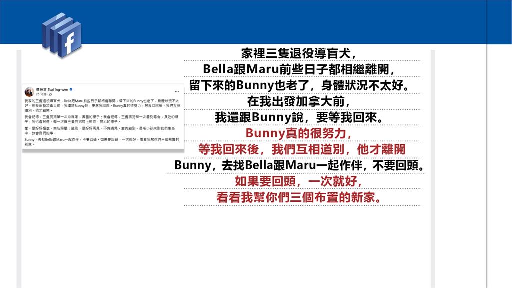 蔡英文愛犬犬Bunny過世! 等她出訪回家「互相道別才離開」