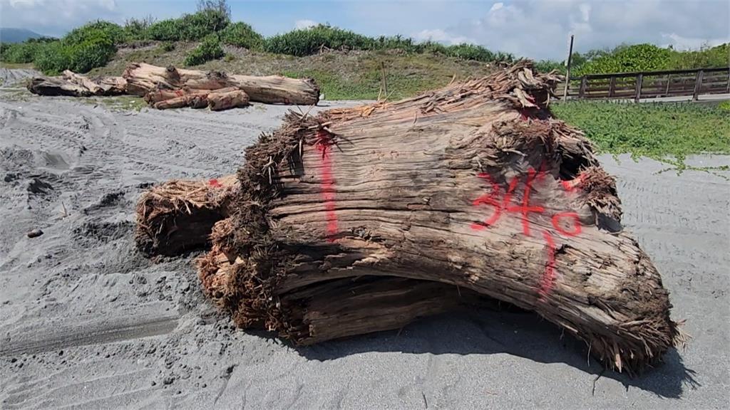 花蓮大量漂流木堆積在海灘　若撿走恐涉侵占罪