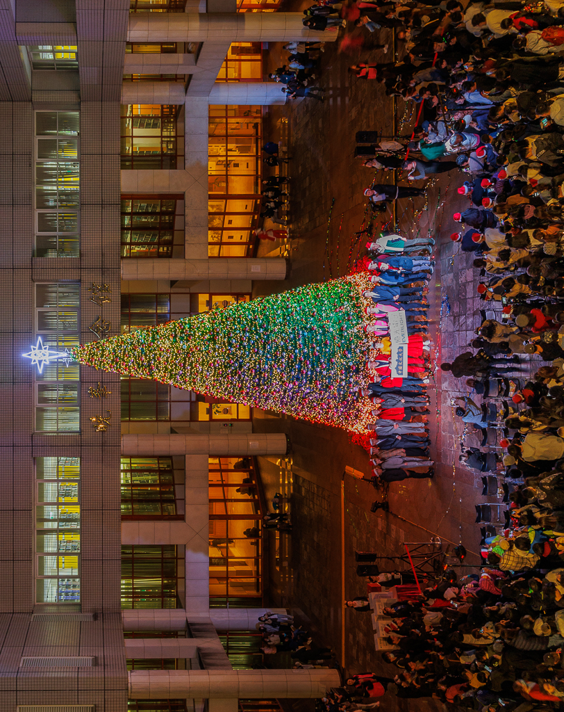 文化大學12米高聖誕樹點燈 聲樂家簡文秀演唱"奇異恩典"