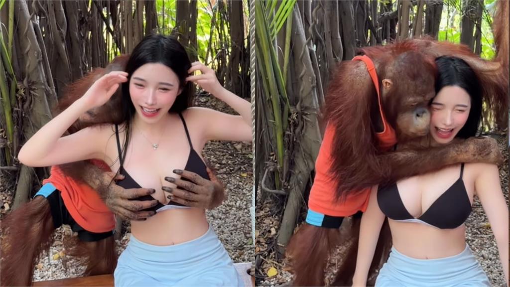 大馬最辣DJ遊動物園遭「襲胸+強吻」!她羞喊:技術有他厲害嗎?