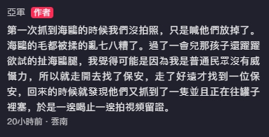 狼性爆發！中國屁孩「抓海鷗塞罐子」父母竟協助　目擊者：制止三次了