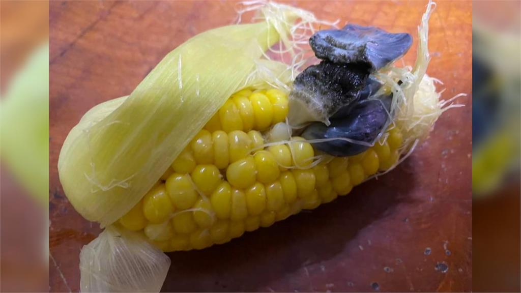 意外現蹤的美味　玉米長出一坨烏落落　竟然可以吃！