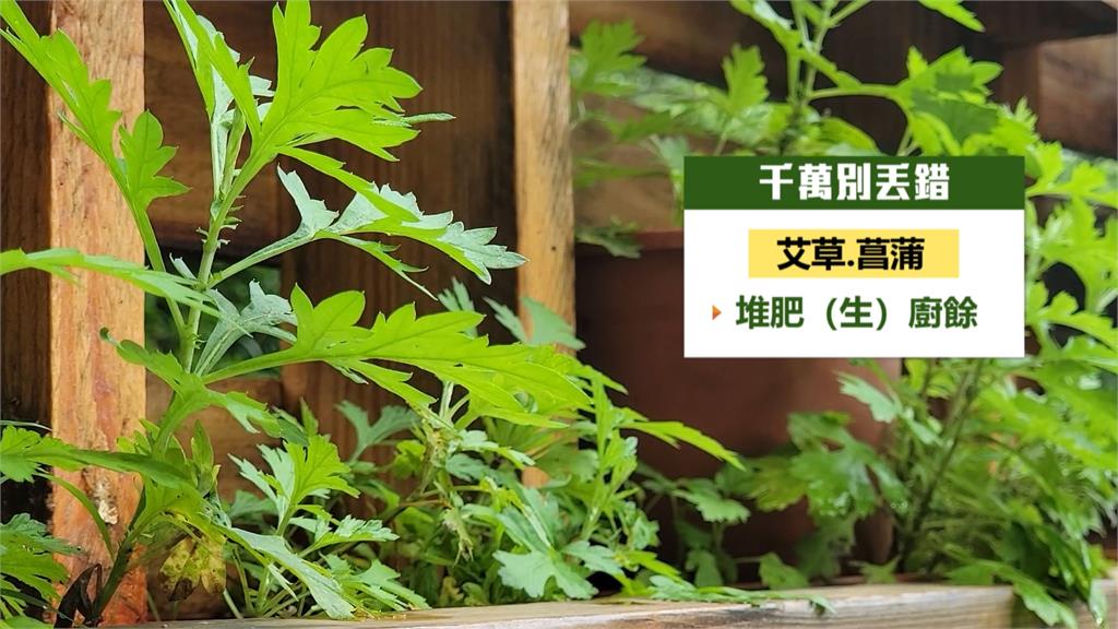 粽葉丟一般垃圾還是廚餘? 環保局回應了、丟錯恐被罰最高6千元