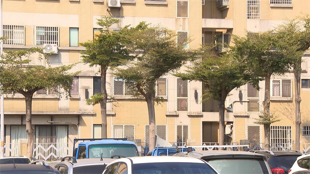八哥聒噪吵到受不了! 大里「驅鳥大作戰」