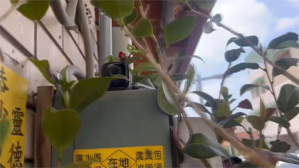 南投立委補選投票「有針孔」！　藏在投票所花盆裡　監控誰來投票？
