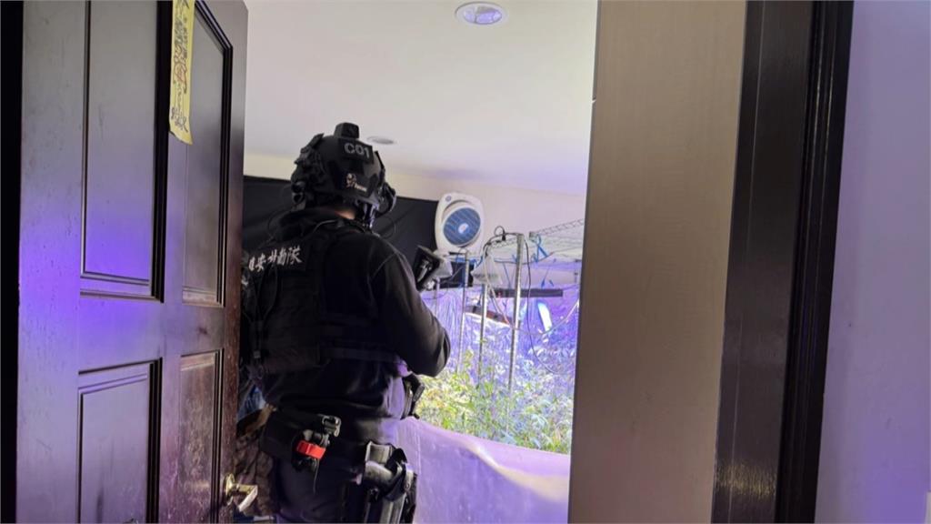 外籍補教師來台種大麻販售 警查獲近300株大麻