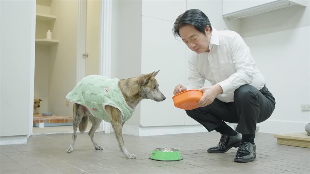 向導盲犬訓練師「請益」 總統賴清德學做寵物年菜