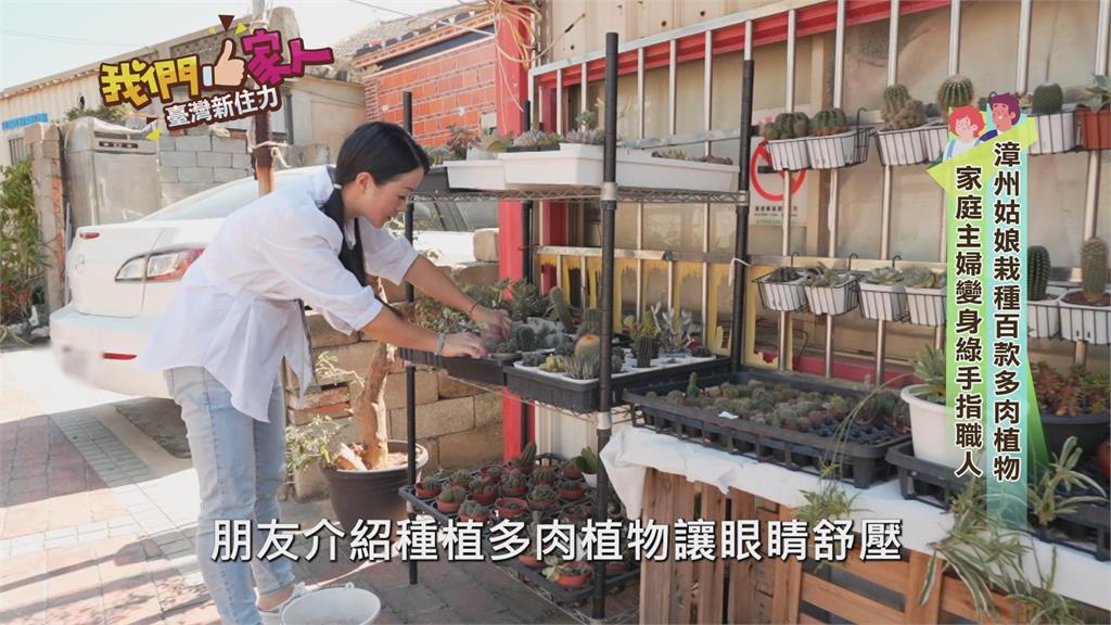 栽種百款多肉植物 家庭主婦成綠手指職人