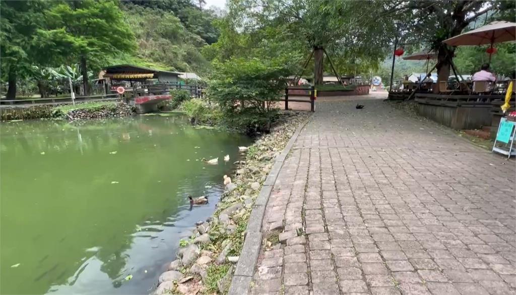 宜蘭望龍埤「鴨鴨軍團」隨地大號 鄉公所移置反應兩極