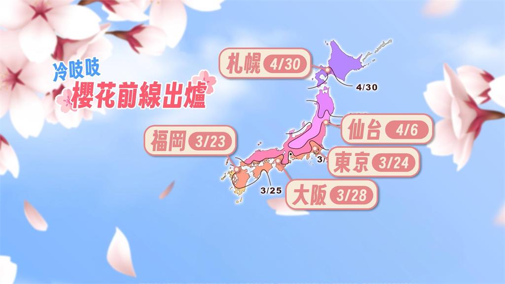 日本櫻花前線出爐!追櫻搶便宜機票 旅遊達人曝撇步