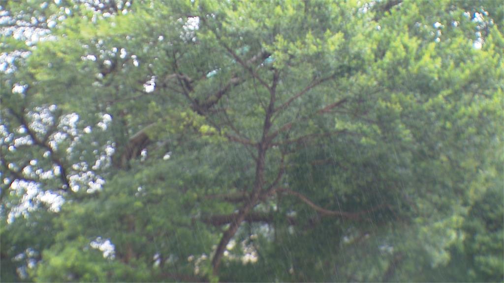 東北季風發威！北台灣周末濕冷有雨　下週三起全台氣溫回升