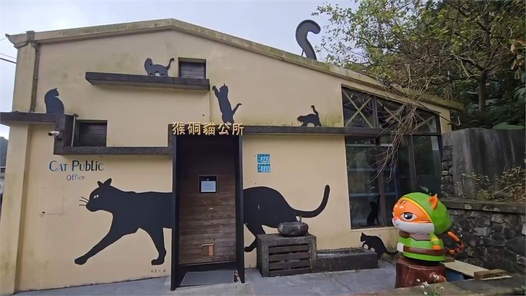 全盛期逾200隻「今剩不到30隻」　遊客訪猴硐貓村問：貓呢？