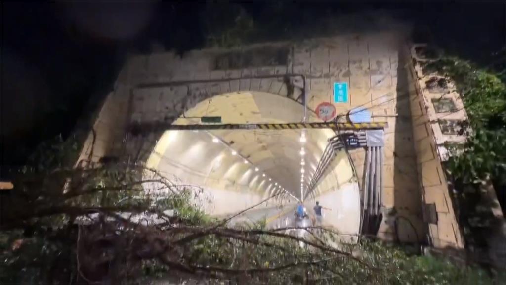 基隆光華隧道驚魂夜！　5公尺大樹滑落邊坡砸車　駕駛嚇壞