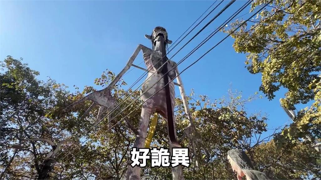 「進擊的巨人」現蹤泰國?驚人身高直衝雲霄 台德混血正妹嚇爛:好詭異