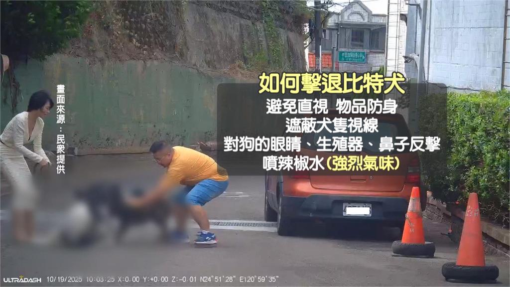 竹北模特兒「遛狗遭攻擊」　比特犬死咬愛犬脖子不放