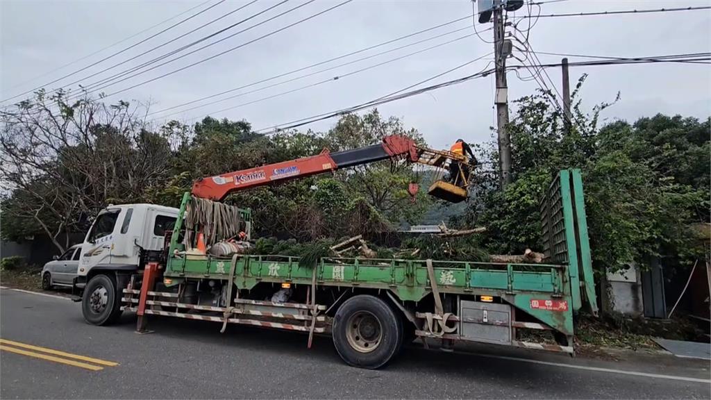 東北季風發威！颳8級陣風　頭城路樹倒砸民宅幸無人傷