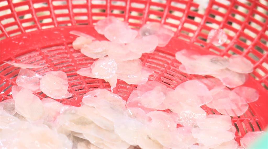 異言堂(影)／別再誤會牠了　吳郭魚早已「身價翻倍」　台灣鯛蛋白質高又低脂