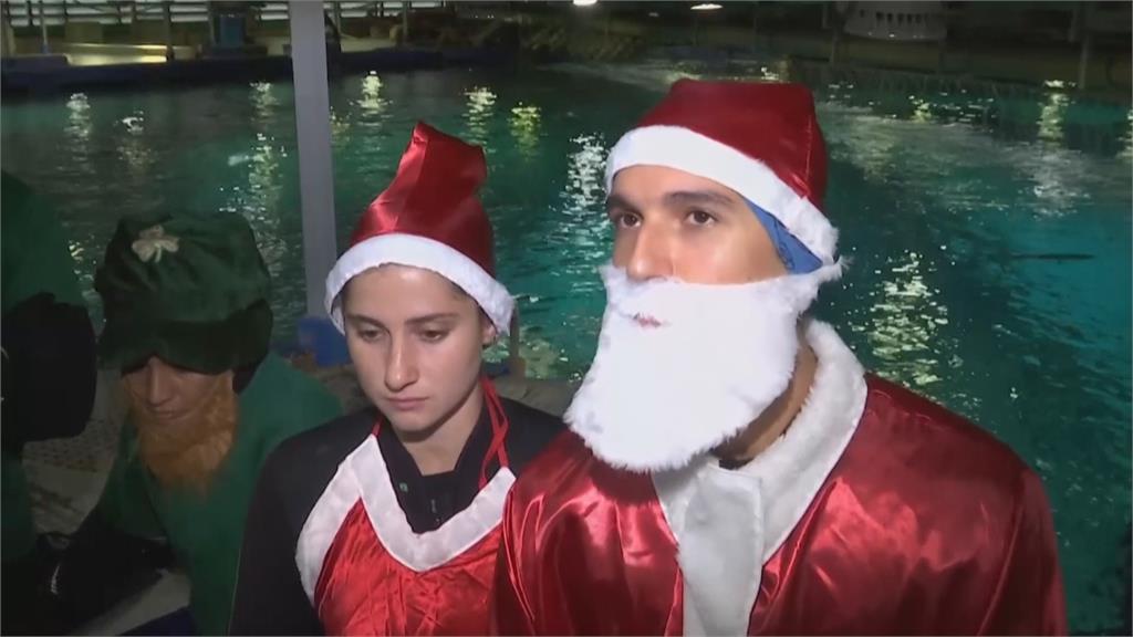 巴西水族館創意耶誕　變裝耶老潛水餵食秀
