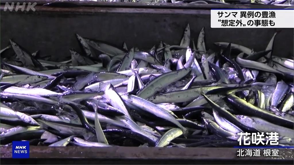 幸福煩惱！日本秋刀魚8月產量「暴增2倍」　冰塊、箱材大缺貨