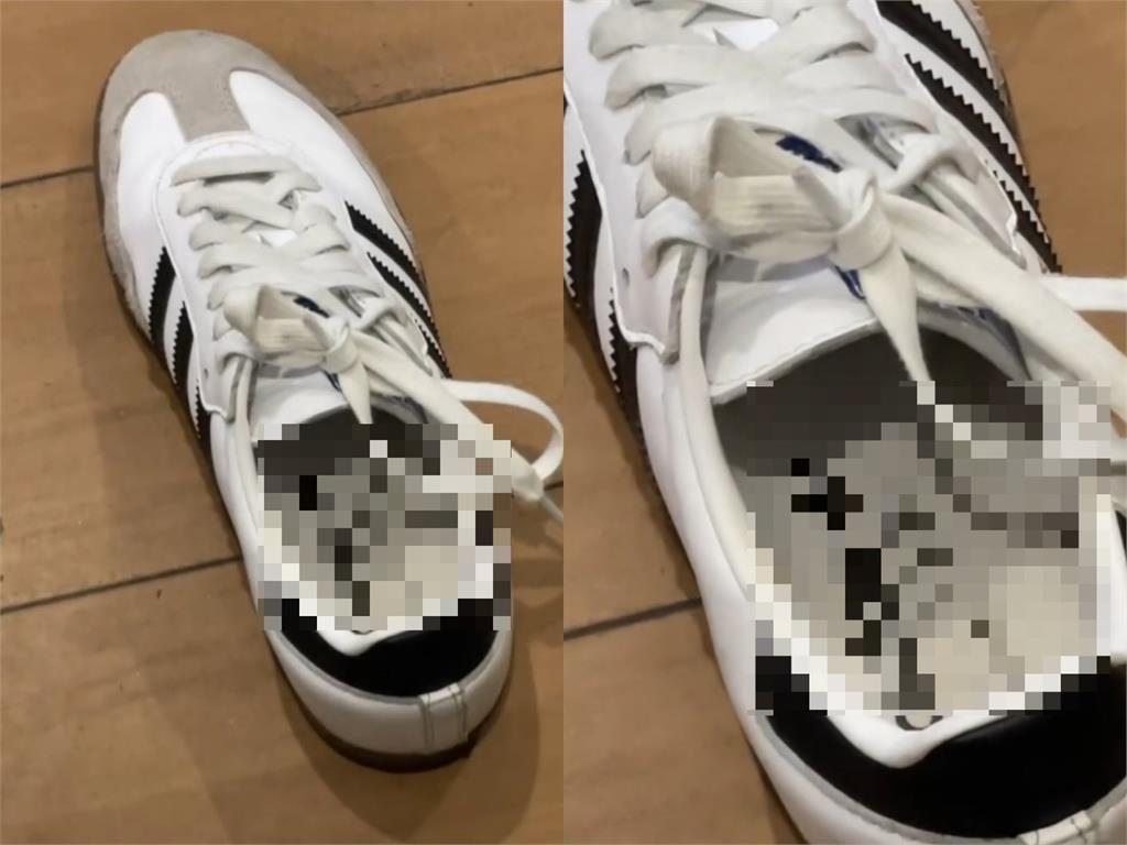他在新臺馬輪偷妹子布鞋「留X液」…犯案阿兵哥依「毀損罪」遭起訴！