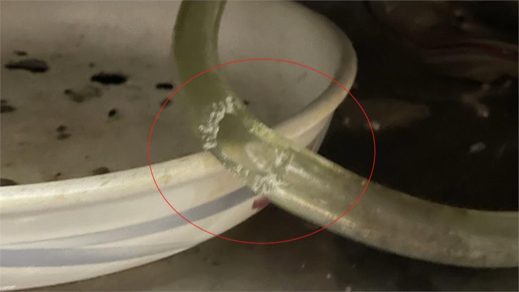 轟!阿嬤炒菜突氣爆燒頭髮 凶手竟是「牠」!?