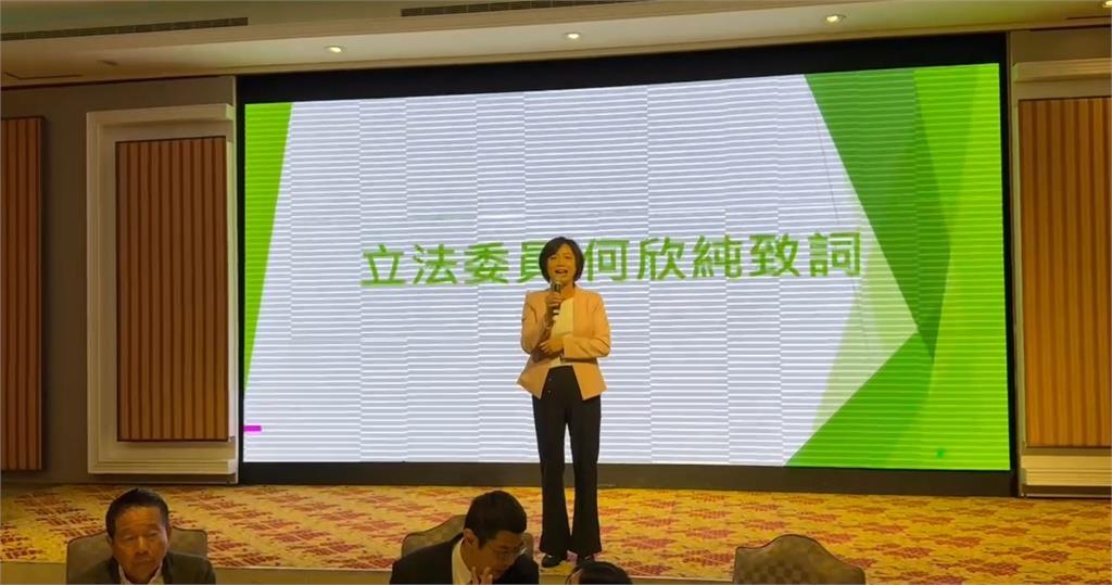 何欣純提「選上市長普發現金」　盧秀燕：好的建言將採納