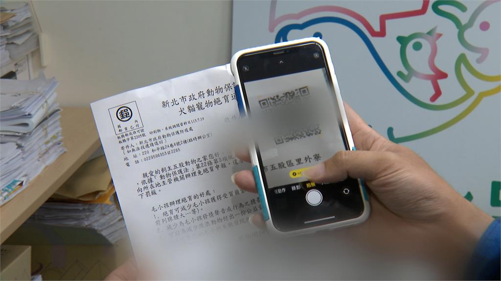 獨／「絕育通知書」違者最高罰25萬　新北市動保處電話被打爆