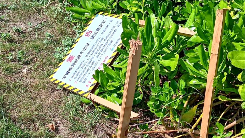 國際流浪動物日——「野保」與「動保」必然是零和賽局?