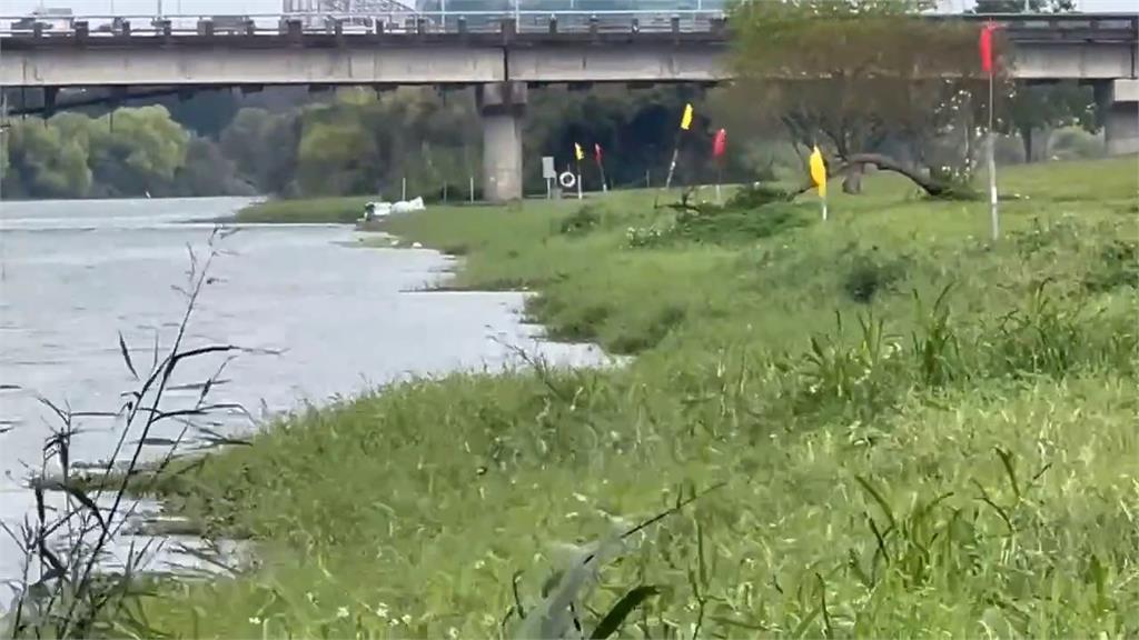 宜蘭擬打造「龍舟碼頭」環團:會破壞水鳥棲地生態