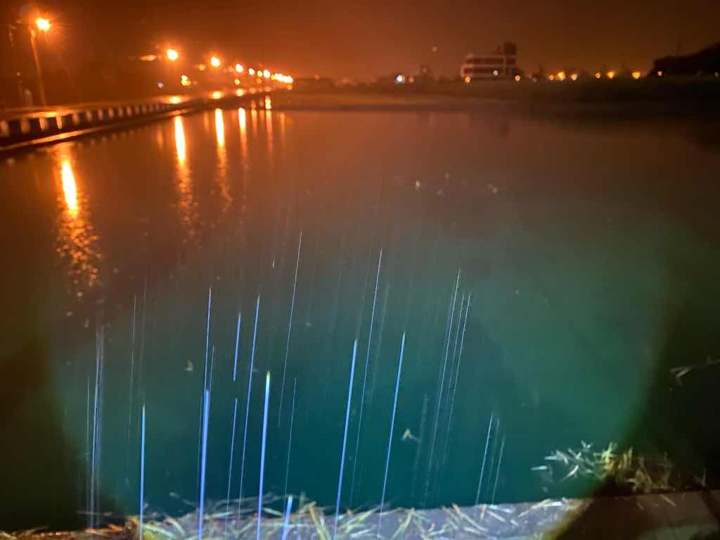 快新聞／青山「綠」水？宜蘭三星鄉水田遭染綠　環保局揪出兇手