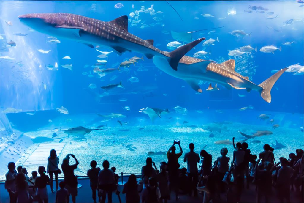 世界遊你決定!易飛網參展2022夏季旅展 邀國人卡位國外旅遊