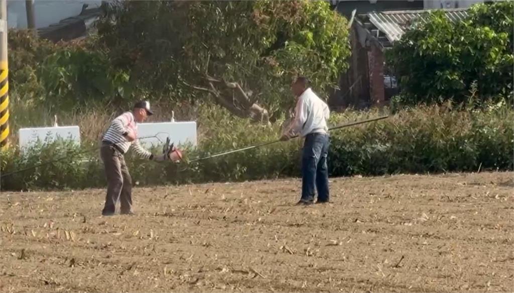 嘉義義竹"賽鴿笭"傳承百年 鴿子揹屋飛回家