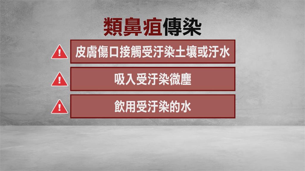 豪雨釀淹水!「類鼻疽」疫情升溫 高雄累積確診30例、3例死