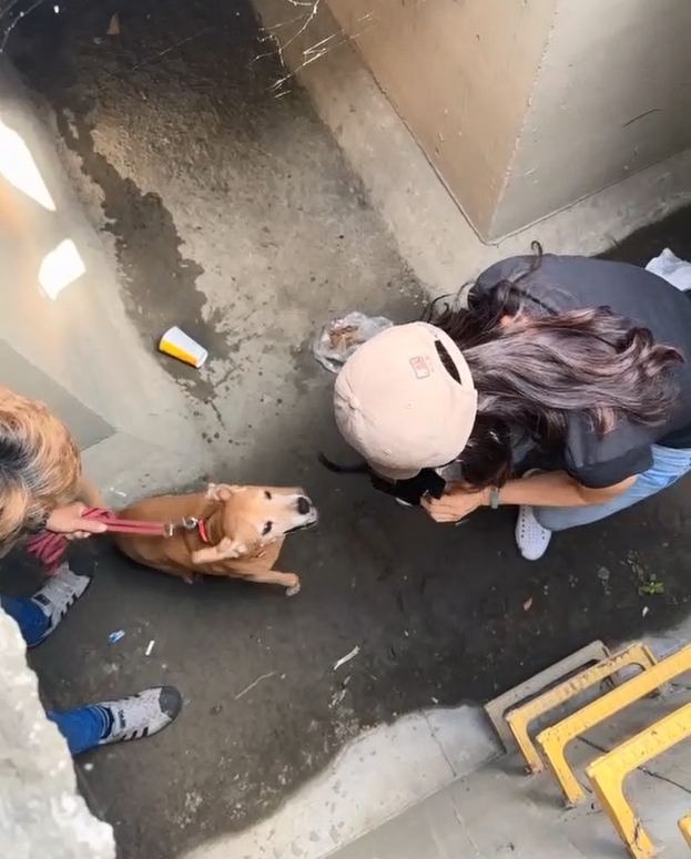 阿妹
